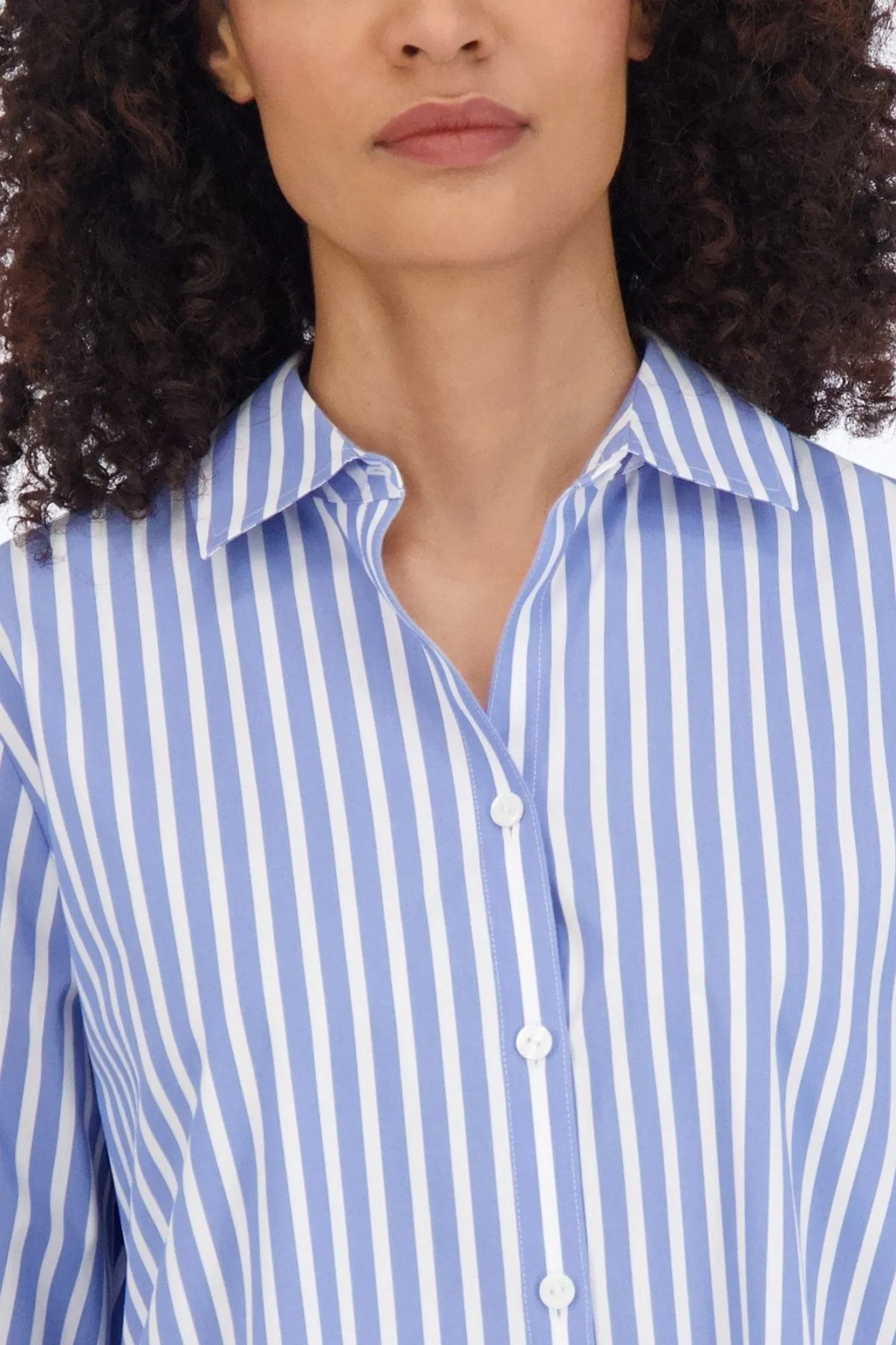 Sandra Stretch No Iron Stripe Shirt